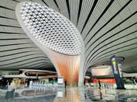 Airport & Station
